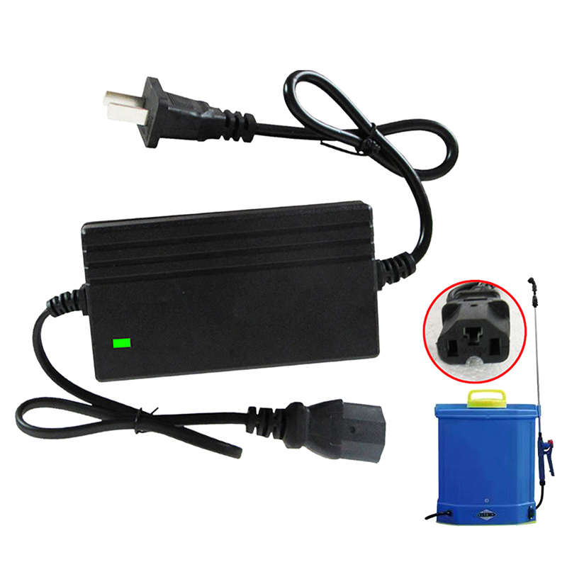 1A Lithium Battery Charger Spa - Crossfit Machine recension och pris